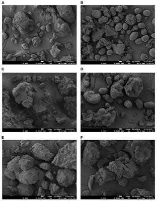 Functional Properties of Physically Pretreated Kidney Bean and Mung Bean Flours and Their Performance in Microencapsulation of a Carotenoid-Rich Oil